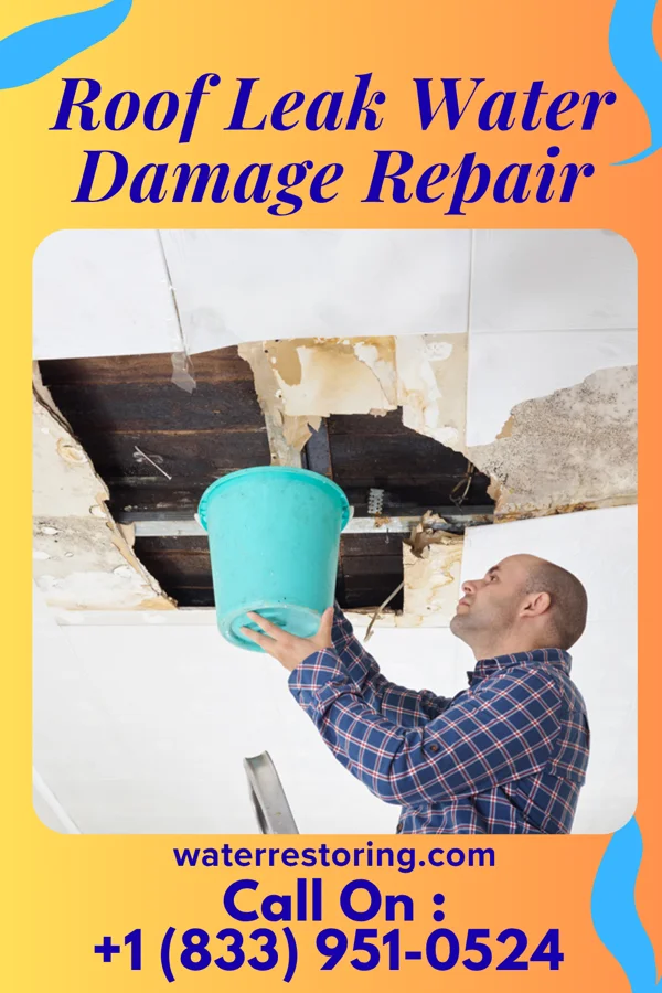 Roof Leak Water Damage Repair in Spruce Pine, NC