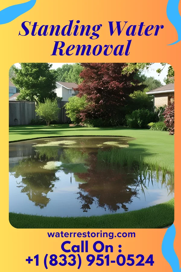 Standing Water Removal in Spruce Pine, NC